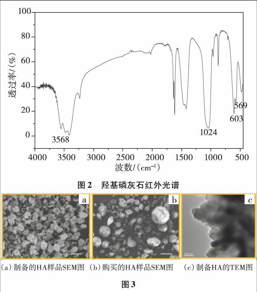 简洁水热法制备高结晶度羟基磷灰石(ha)粉末