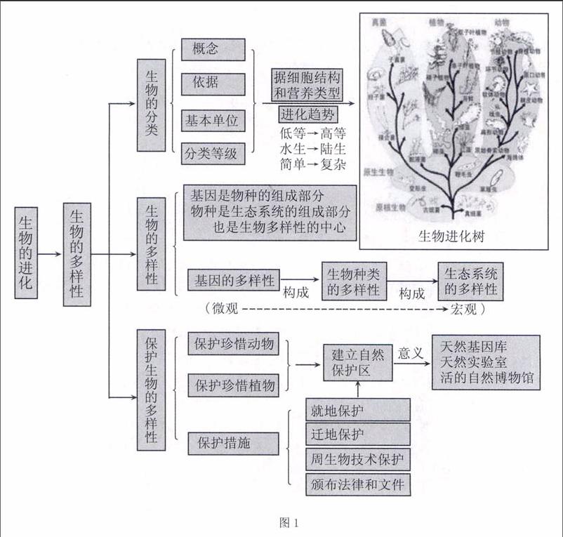 初高中生物教案范文_高中体育教案范文_高中生物教案范文