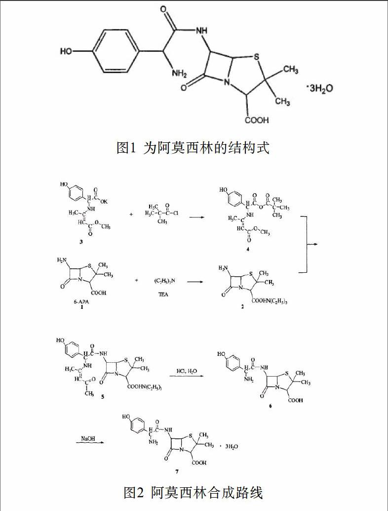 论阿莫西林合成新工艺的研究