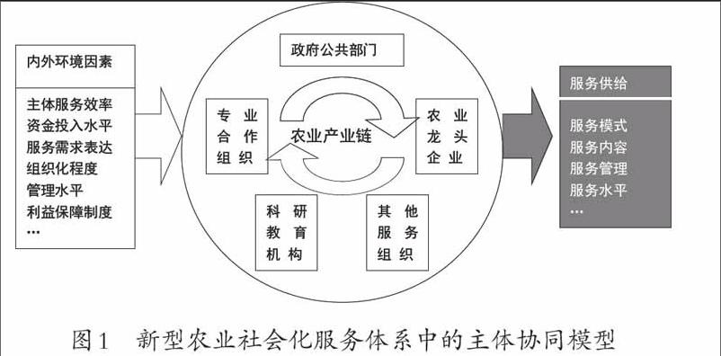 新型农业社会化服务体系中主体协同问题研究