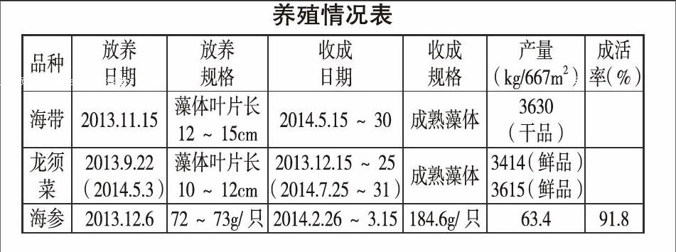 林炫锋 肖懿哲 柯尚德