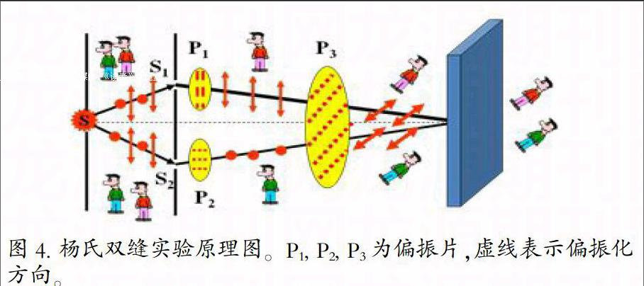偏振片对杨氏双缝干涉实验影响的形象化解释