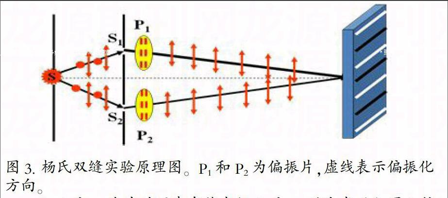 偏振片对杨氏双缝干涉实验影响的形象化解释