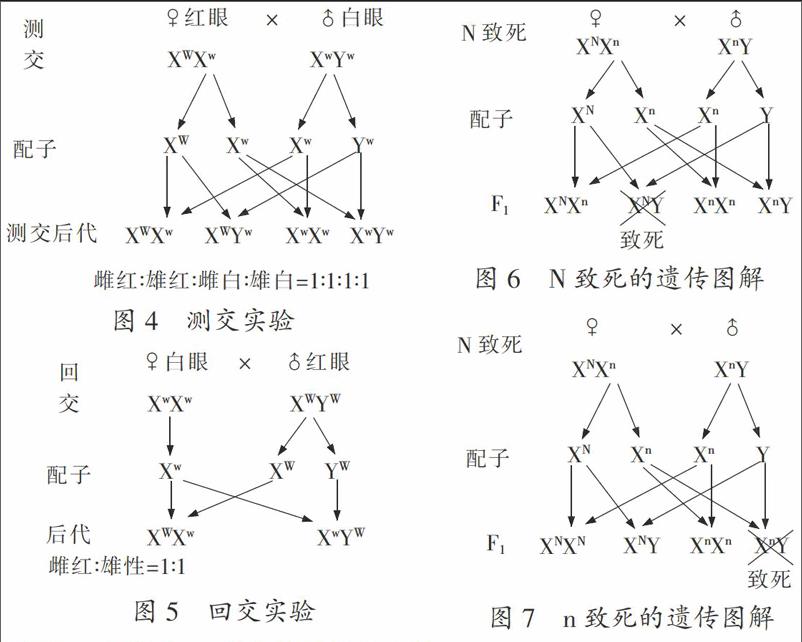 浅析摩尔根的假设