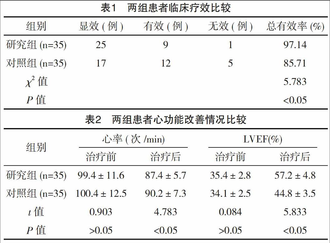 硝普钠,多巴胺联合持续静脉泵入治疗老年顽固性心衰的