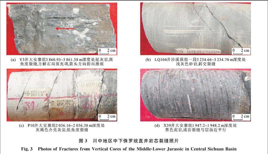 川中地区中下侏罗统致密油储层裂缝发育特征