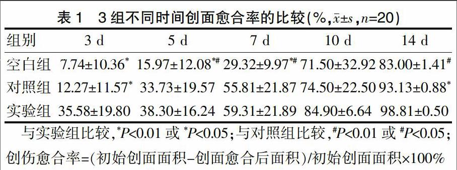 蜂胶对大鼠皮肤创伤愈合的影响