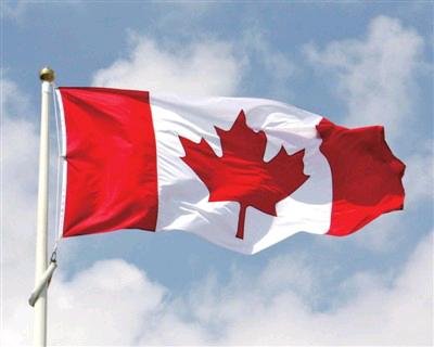 加拿大“国旗枫”现实中不存在_参考网