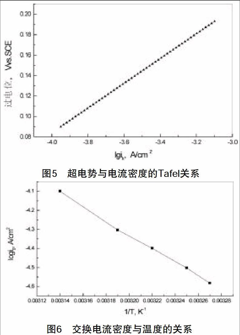 电化学实验教学中极化曲线的测量与应用