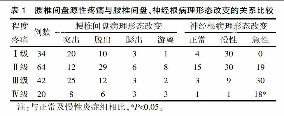 腰椎间盘源性疼痛机理的临床研究