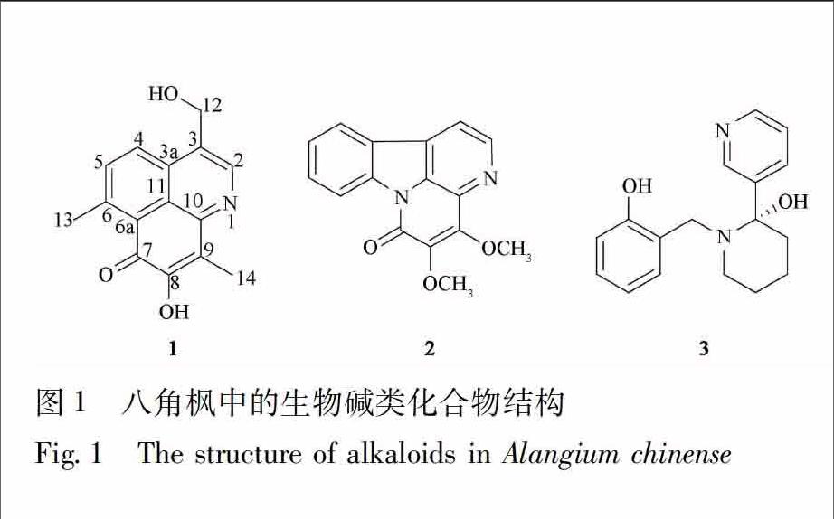 八角枫根中1个新的生物碱及其细胞毒活性研究