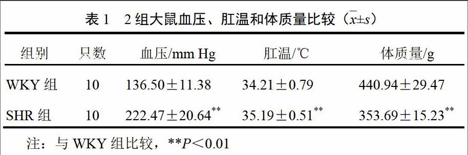 方法 取12月龄健康雄性shr大鼠10只设为证候组(shr组,同龄雄性wistar