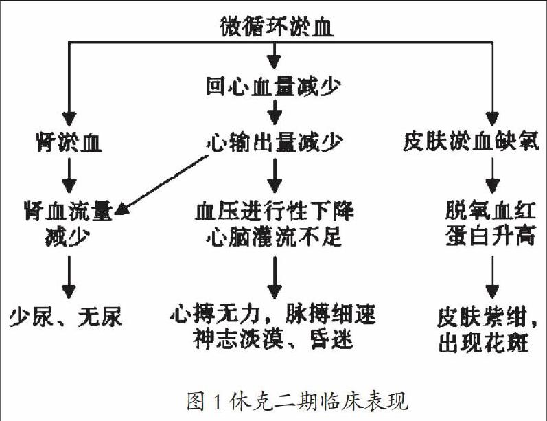 作为临床医学,基础医学重要连接桥梁,和外科学,生理学,病理学与病理学