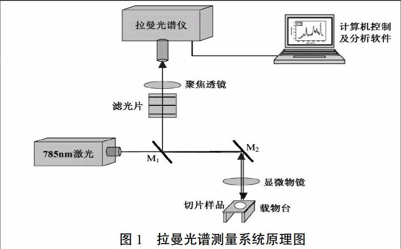 光纤预制棒,并对其切片样品的拉曼散射光谱进行了实验测量和特性分析