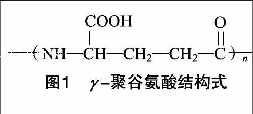 不同分子量γ—聚谷氨酸对绿豆萌发及幼苗的影响