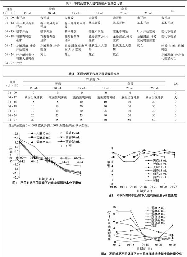 杨泽雄 辛培尧