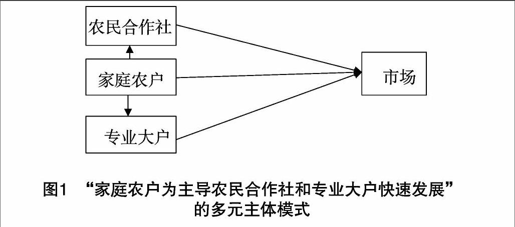 我国新型农业经营主体特点分析与发展演进宝斯琴塔娜