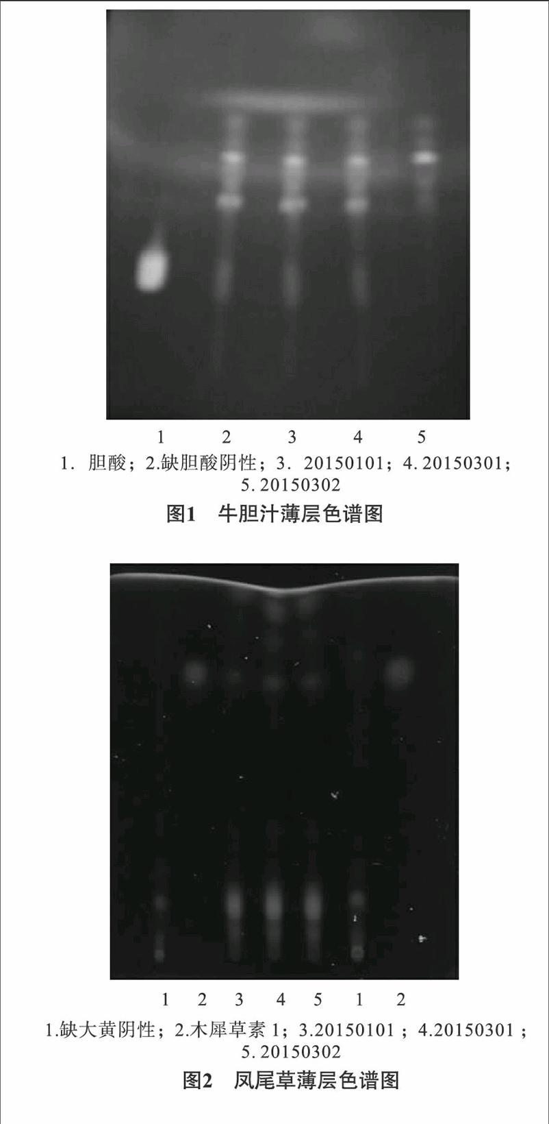 方法:采用薄层色谱法.结果:薄层色谱鉴别斑点清晰,阴性对照无干扰.