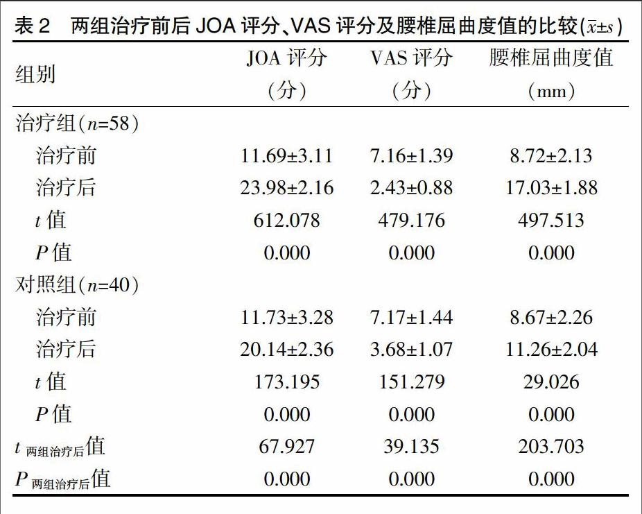 身痛逐瘀汤加减配合中医定向透药疗法治疗腰椎间盘突出症的临床观察