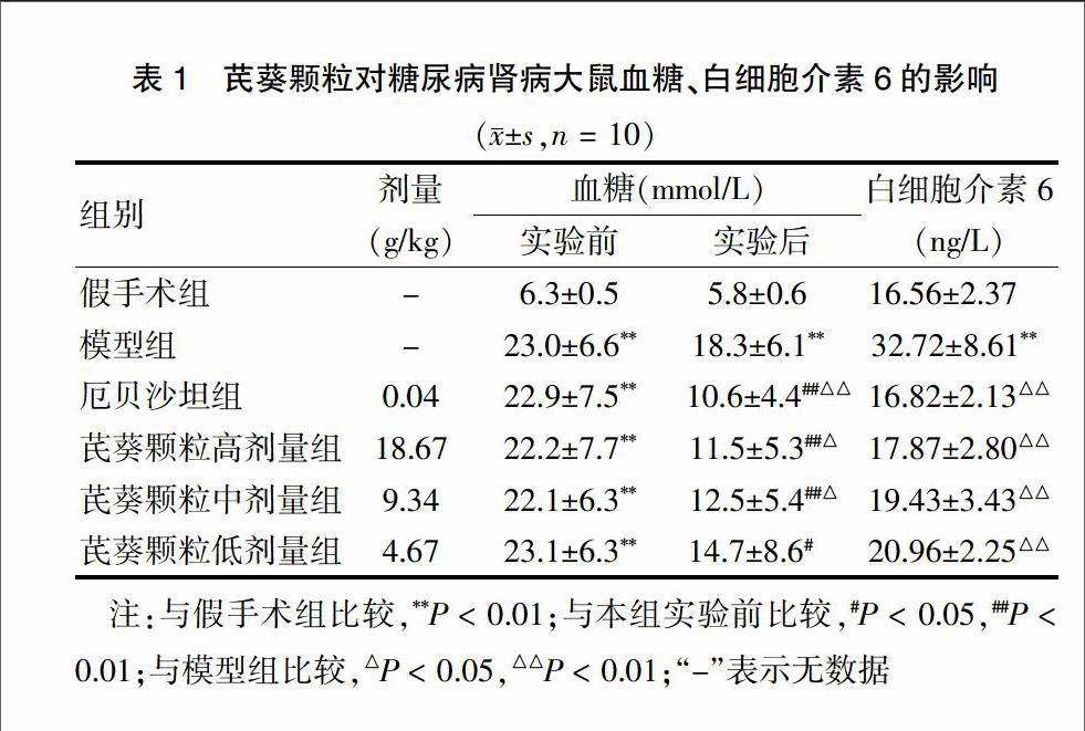 芪葵颗粒对糖尿病肾病大鼠肾脏中tgf—β1及mcp—1表达的影响_参考网