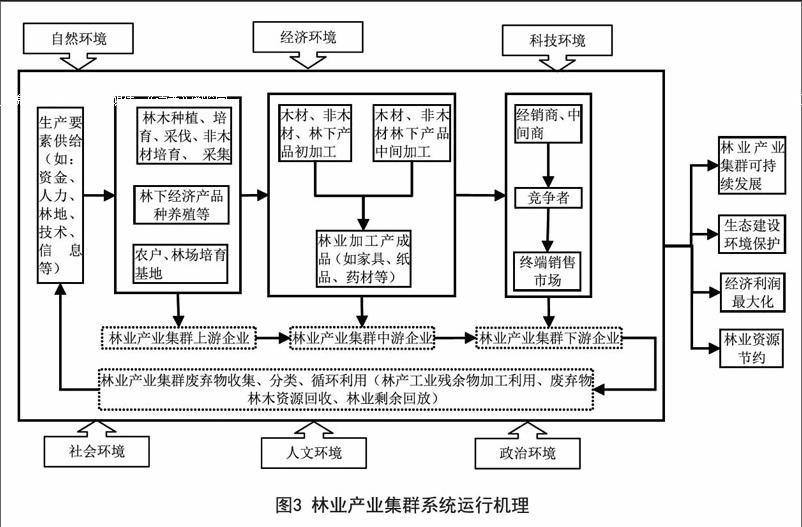 集群系统结构模型,然后对林业产业集群系统结构运行机理进行了分析