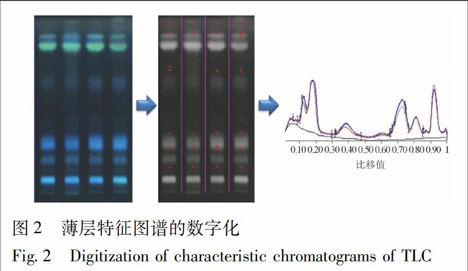 人工牛黄薄层指纹图谱多元图像分析及化学计量学研究