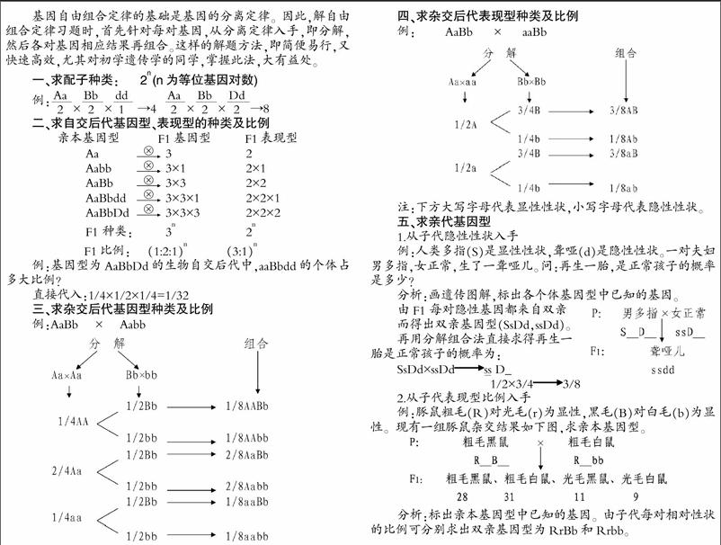 自由组合定律解题思路