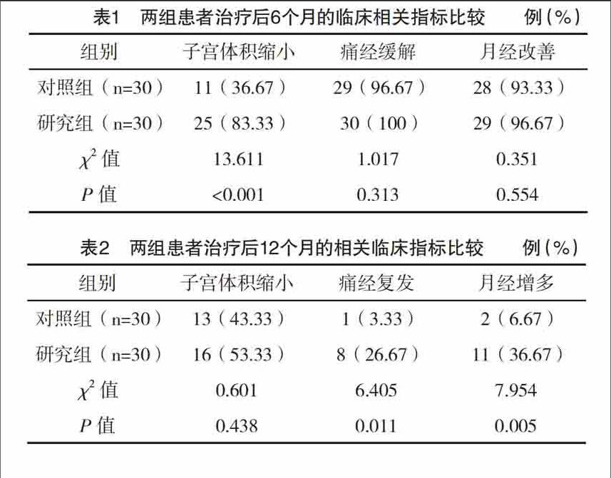 李奇艳 杜莲芳 谢翠琦 陈贤