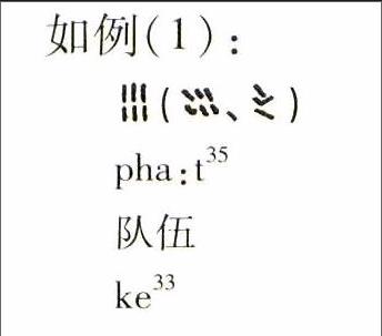 水书常用字典 评述 杂志论文 辞书研究