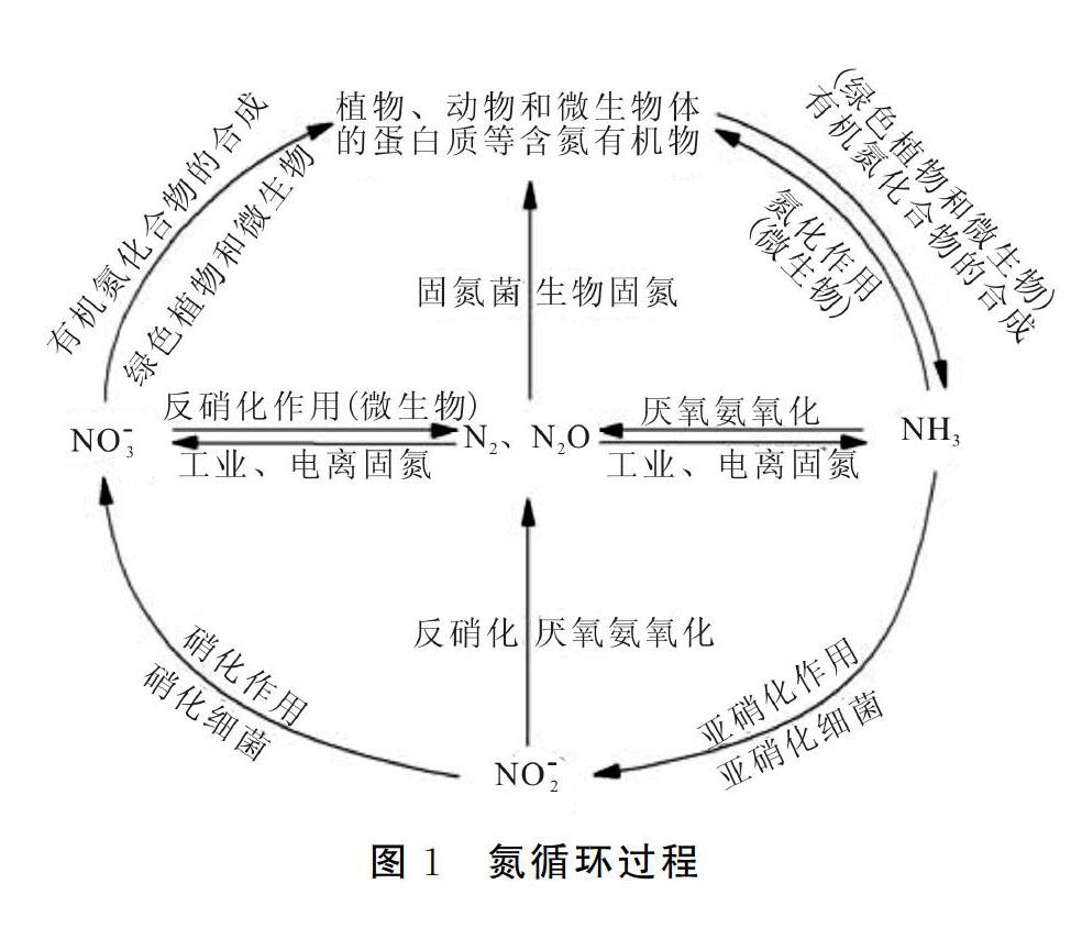 消落带氮循环的影响因子研究