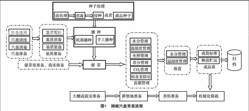 适合机械化移栽的辣椒穴盘育苗技术规程