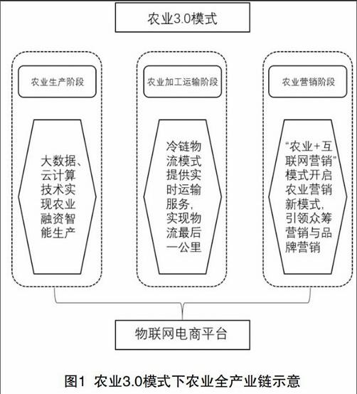 农业3.0产业链发展中的新问题