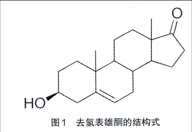 去氢表雄酮的生理活性及其微生物转化的研究进展