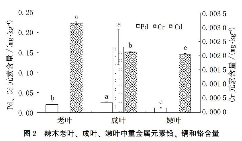 辣木叶中重金属元素含量分析