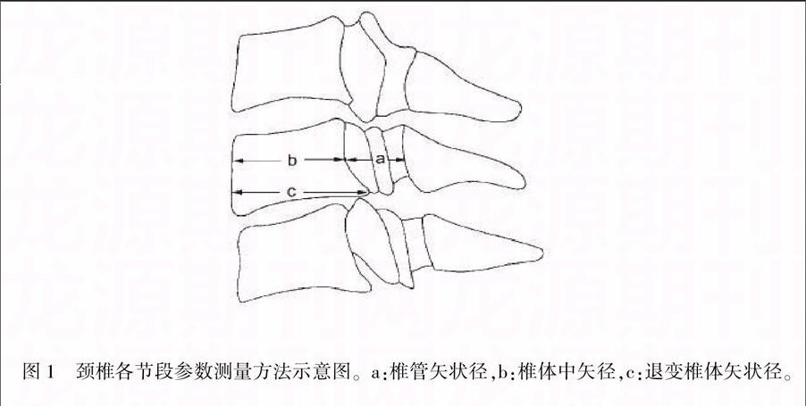 计算所有患者颈椎c3,c4,c5,c6,c7的椎管矢状径,椎体中矢径,颈椎管率及