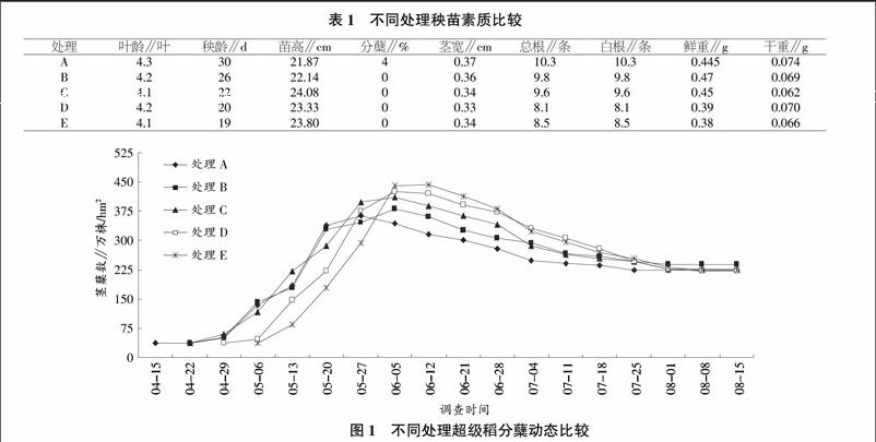 气温稳定通过10 ℃左右时,利用尼龙覆盖防寒育秧,可提高水稻秧苗素质