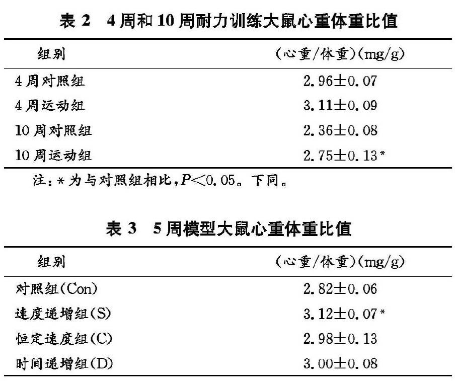 篮球,足球运动员原地纵跳时下肢力量的对比分析及力学