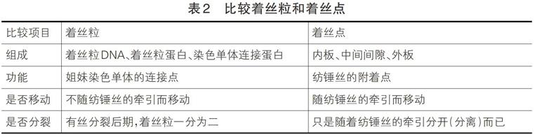 [摘 要] 释疑着丝粒和着丝点,找到二者的区别和联系,为准确复习备考