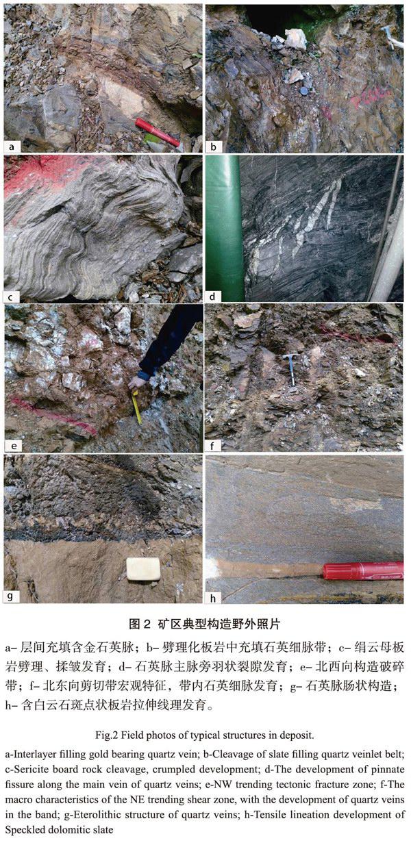 湖南醴陵市肖家山金矿地质特征及找矿标志