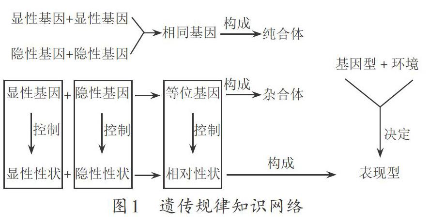 生物教案_高中生物教案范文_初一生物教案