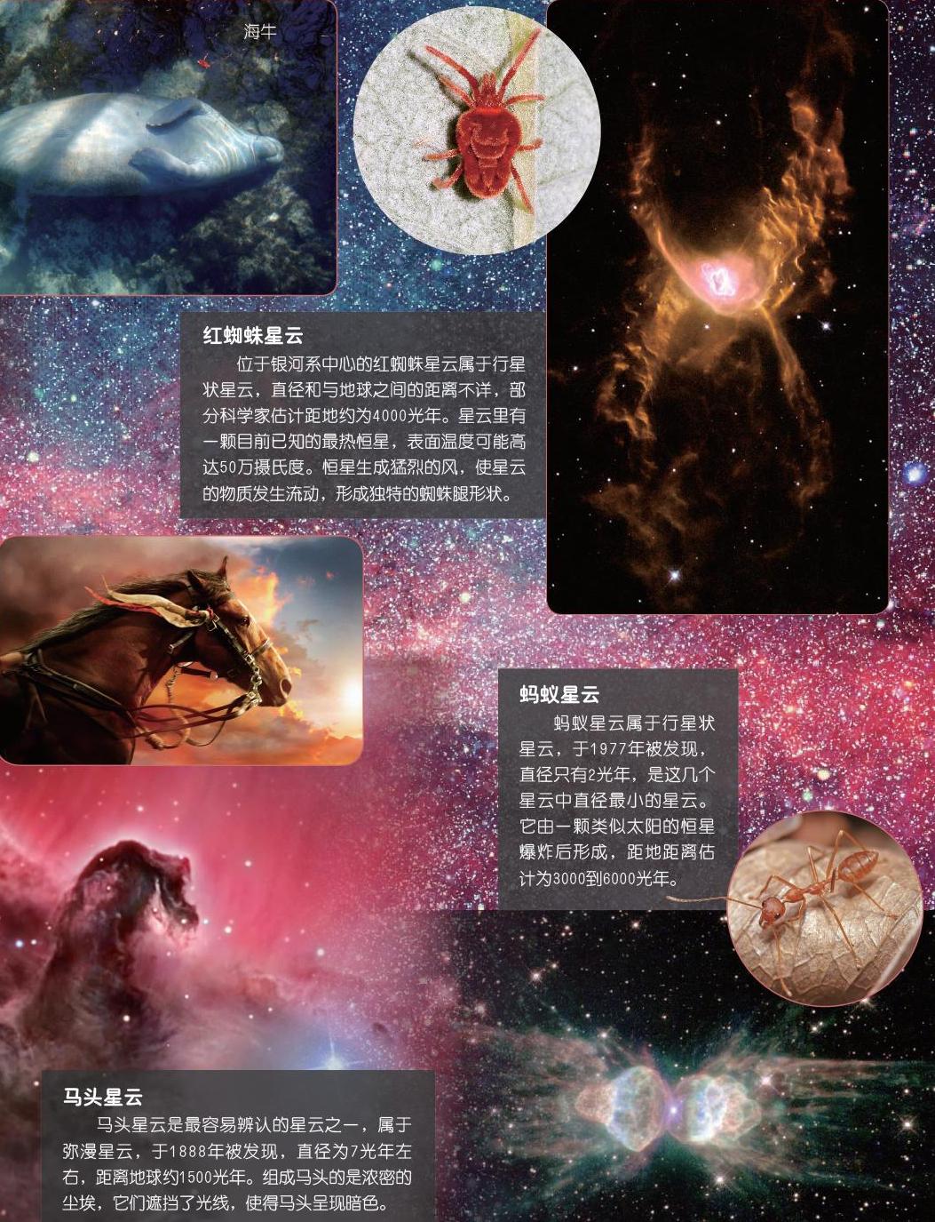 海牛星云 海牛星云由一颗超新星在大约2万年前爆炸形成,直径约700光年