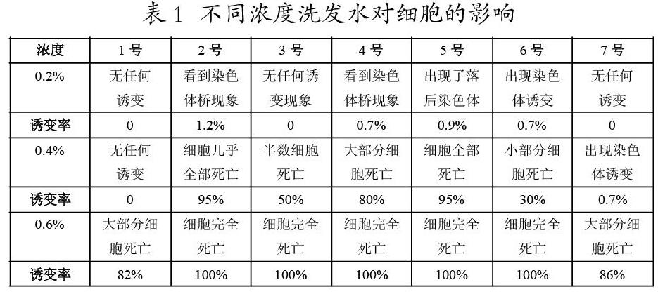 观察大蒜根尖细胞的生长是否受到抑制作用,以及洗发液对染色体的复制