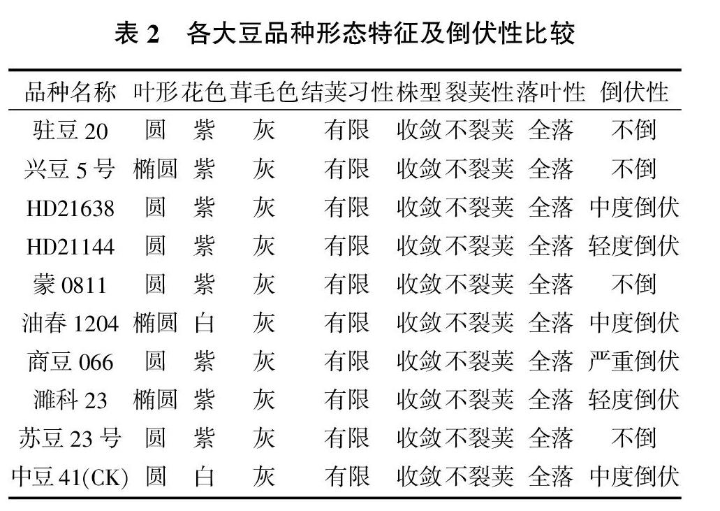 不同大豆新品种区域适应性比较试验初报