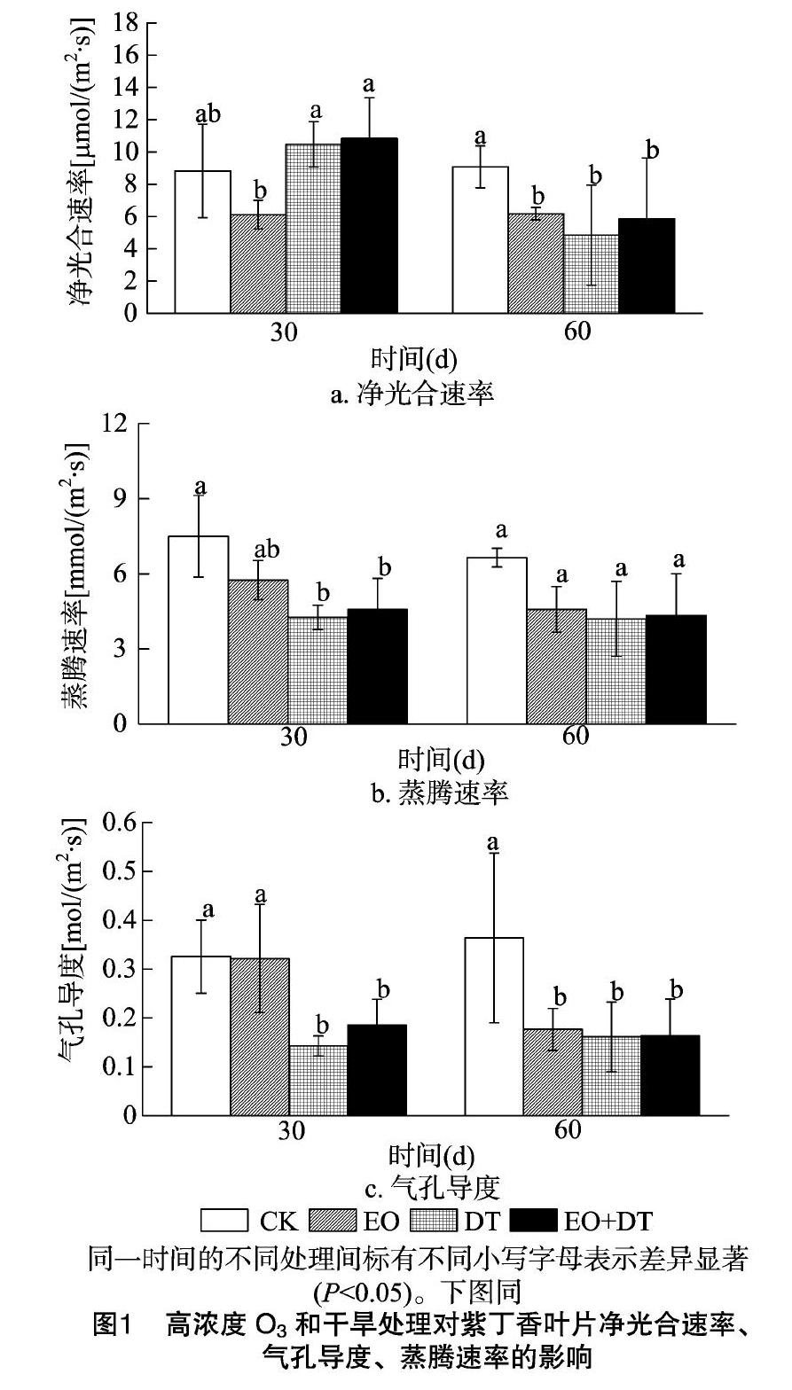 陶汉成 徐胜 付伟