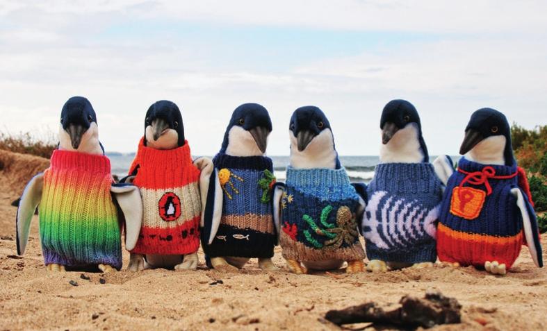 在最近的一档综艺节目中,小蓝企鹅穿毛衣的画面吸引了无数人,同样也有