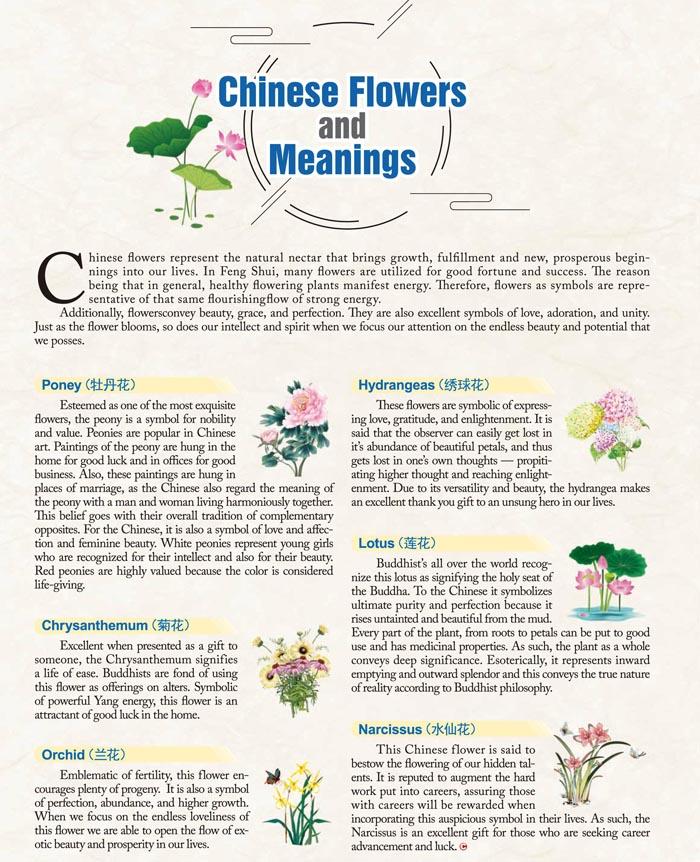 Chinese Flowers And Meanings 参考网