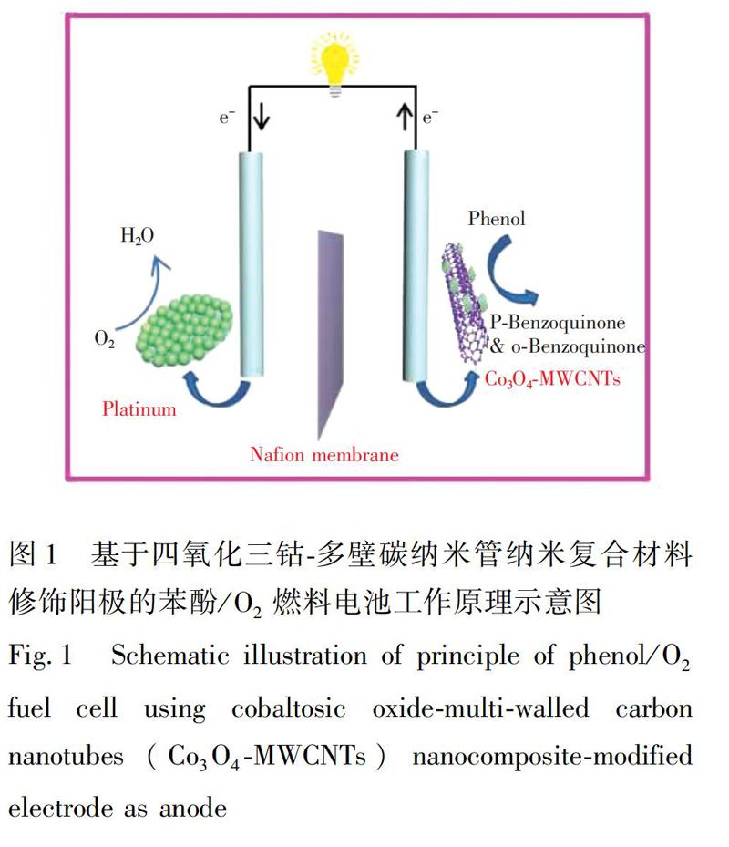 基于四氧化三钴-多壁碳纳米管纳米复合材料修饰阳极的苯酚/氧气燃料