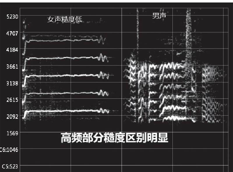 Al机器人如何识别男声女声 参考网