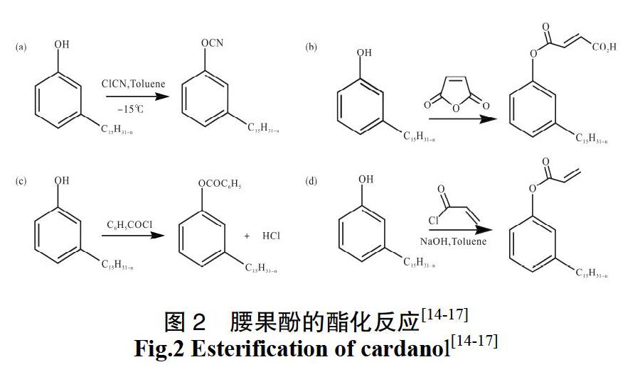 生物基腰果酚改性及应用研究进展