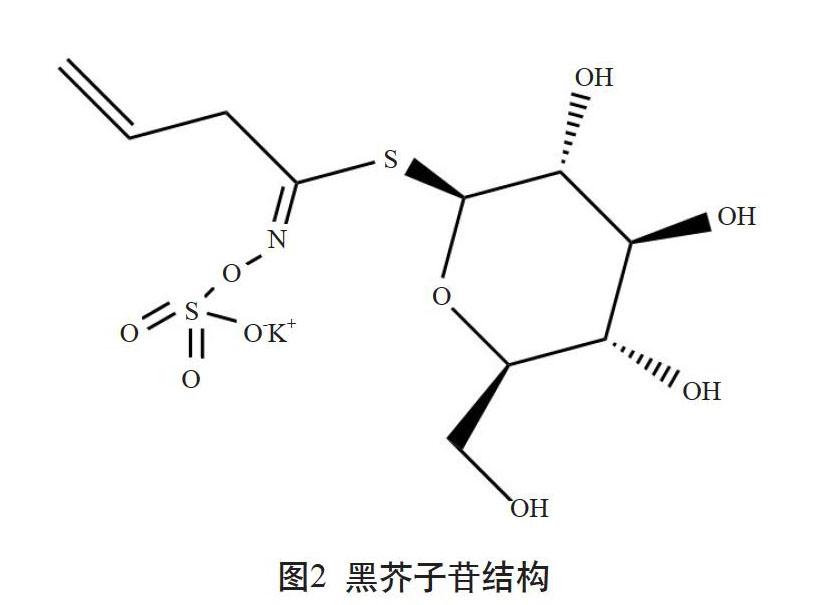 摘 要 以涪陵榨菜原料青菜头为研究对象,取其叶,瘤状茎及瘤状茎的